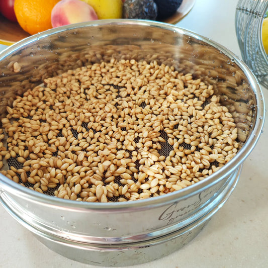 How to sprout seeds in a sprouting tray