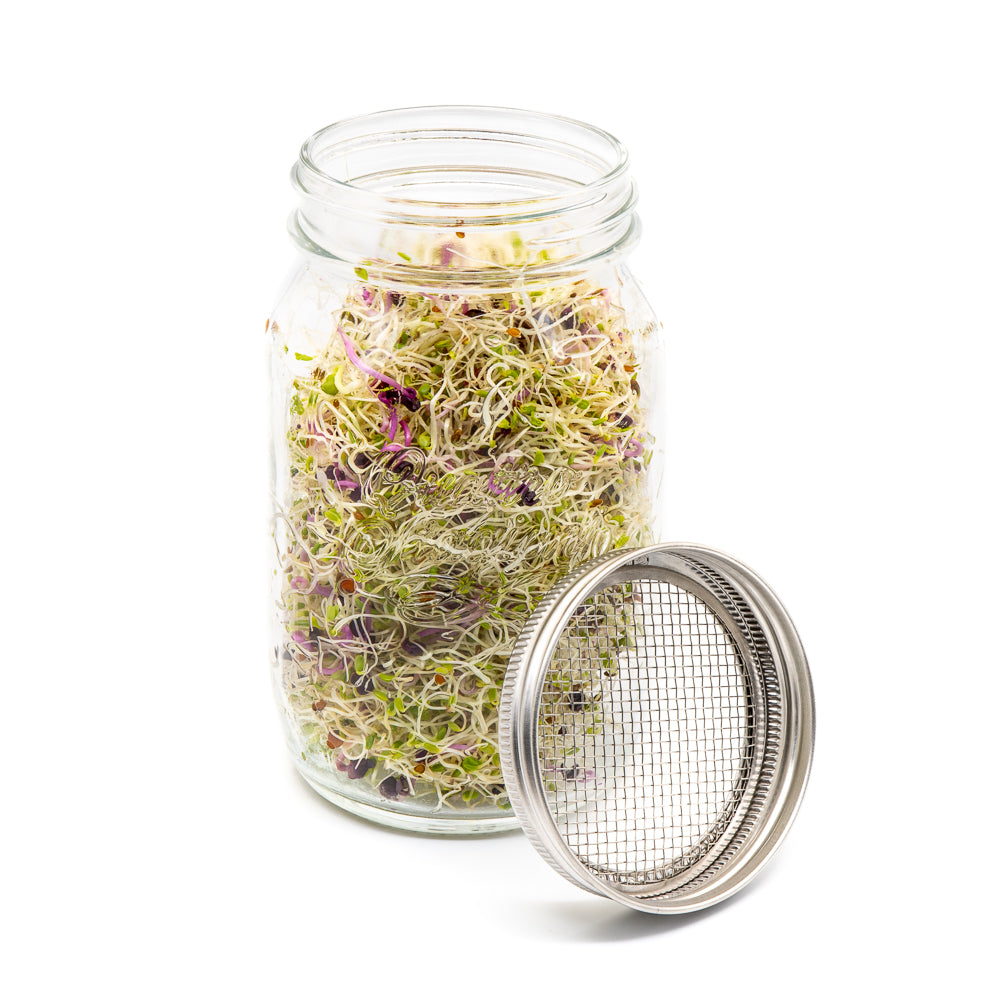 1 Liter Sprouting Jar with Large Mesh Stainless Steel Mesh Lid