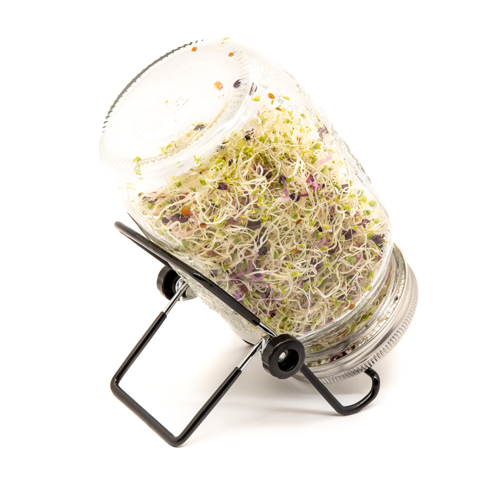 1l wide mouth mason Jar, 3 stainless steel lids and a stand