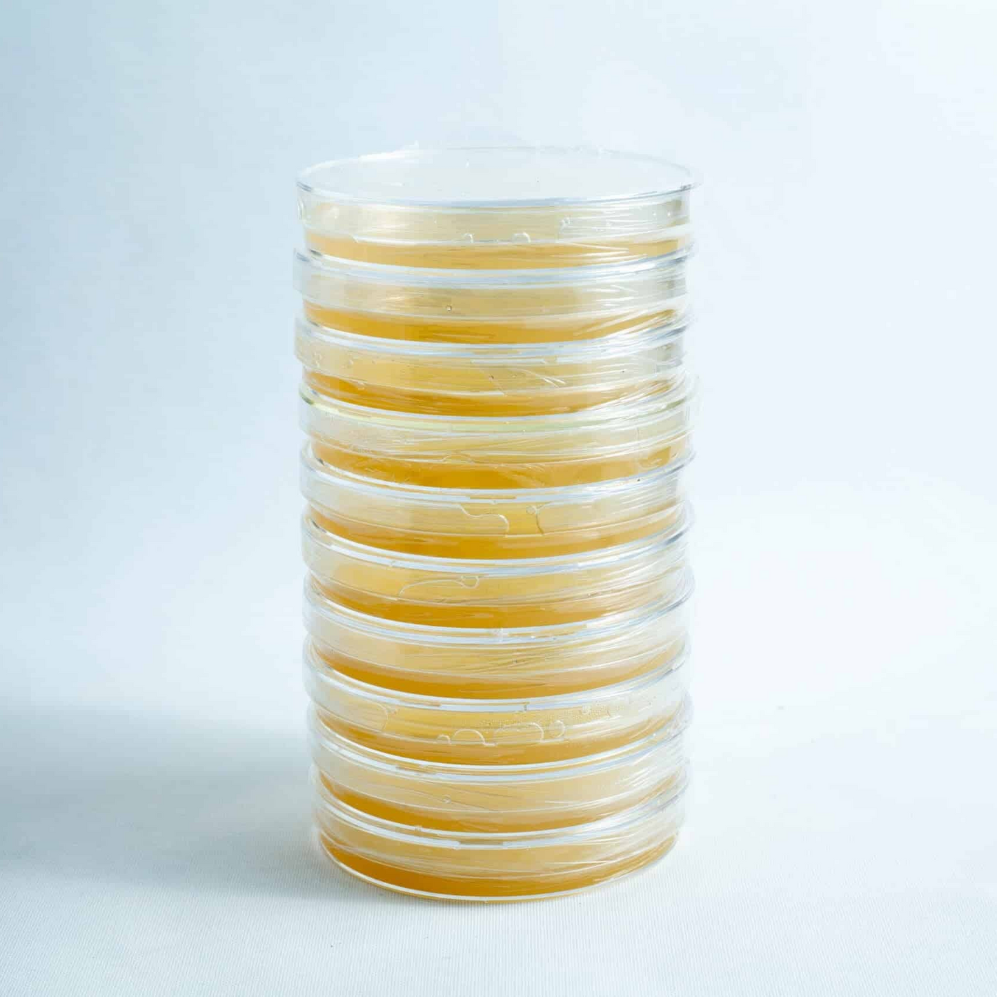 10 Pre poured agar plates - Malt Extract Yeast Agar (MEA)