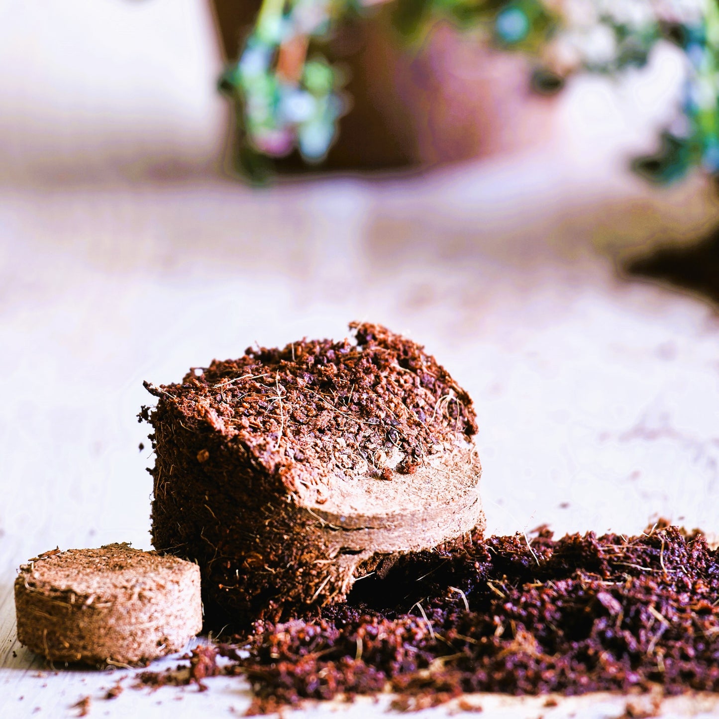 Herb Growing Kit