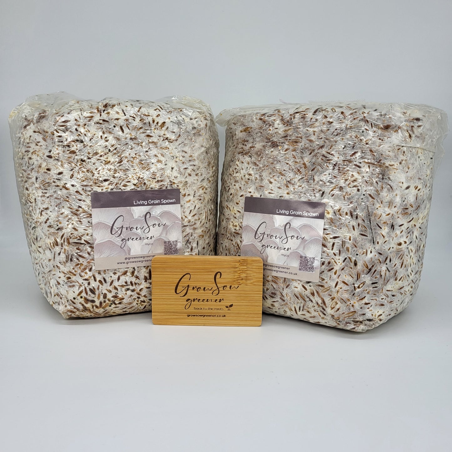 Lion’s Mane – Plate & Liquid Cultures, Grain & Plug Spawn UK