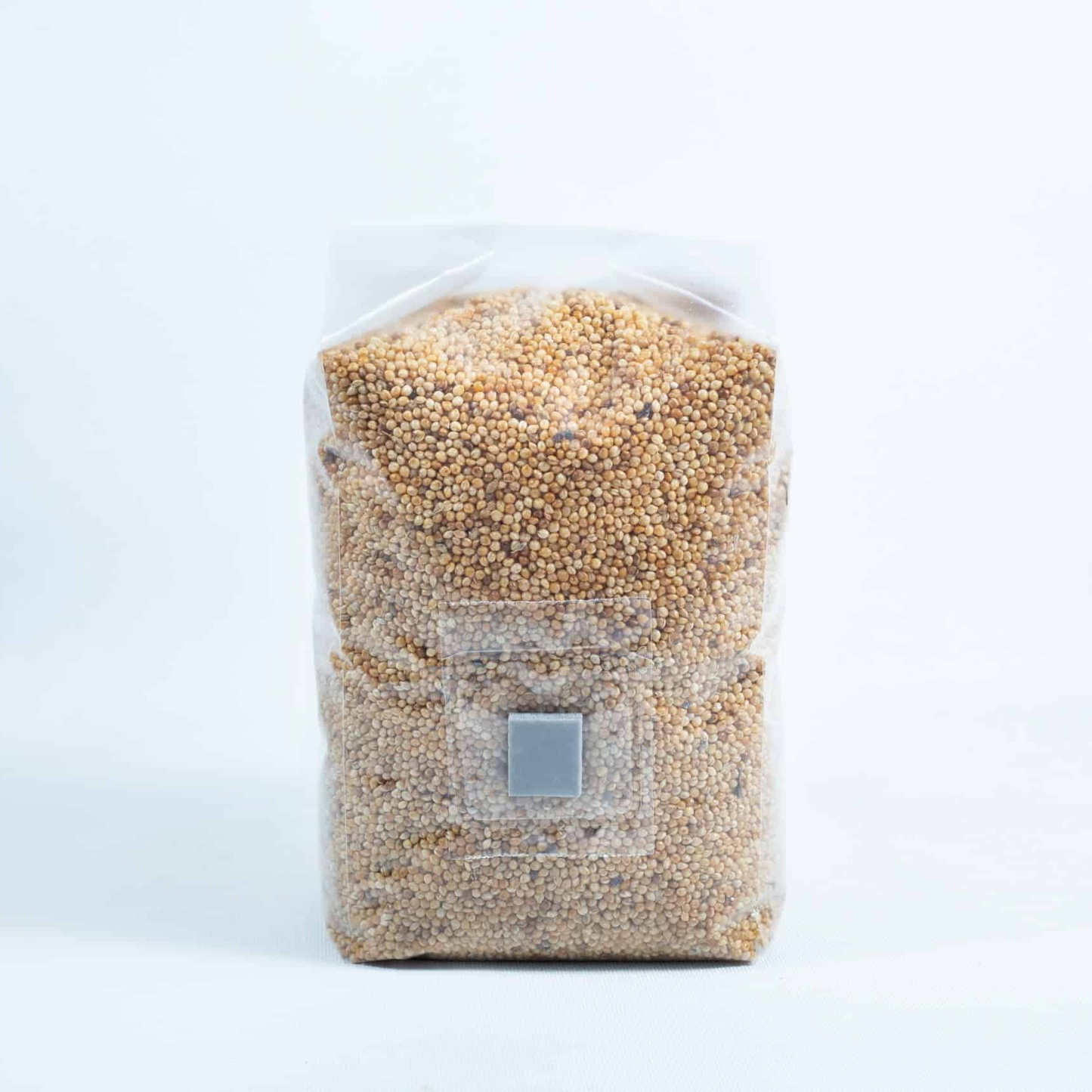 Sterilized Millet grain for mushroom spawn production