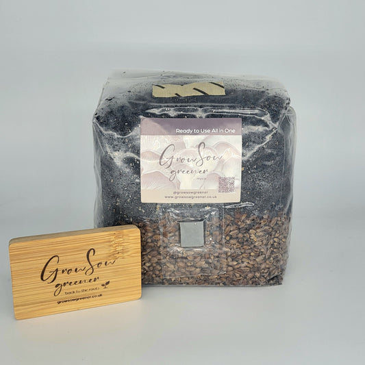 All in one mushroom grow bag, inject and forget 1.5kg