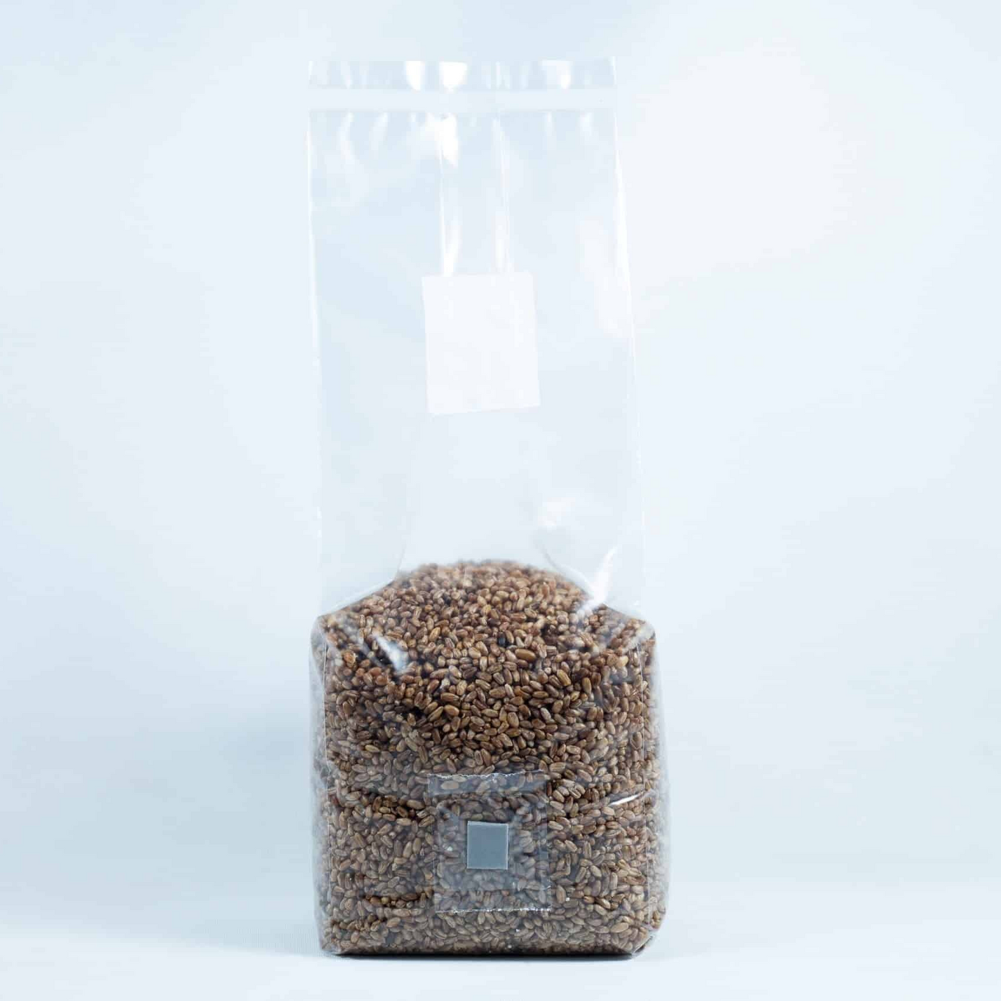 Sterilized organic Rye grain for mushroom spawn production 1.5kg
