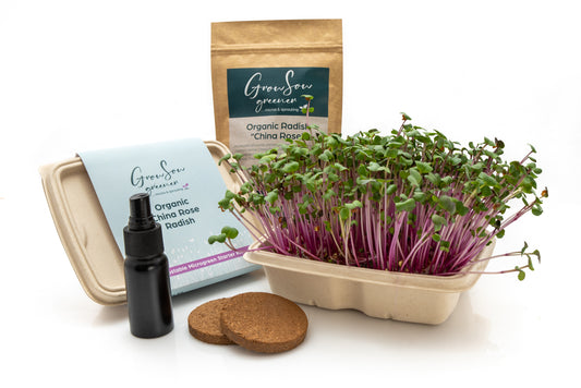 Biodegradable Microgreen Growing Kit (China Rose Radish)