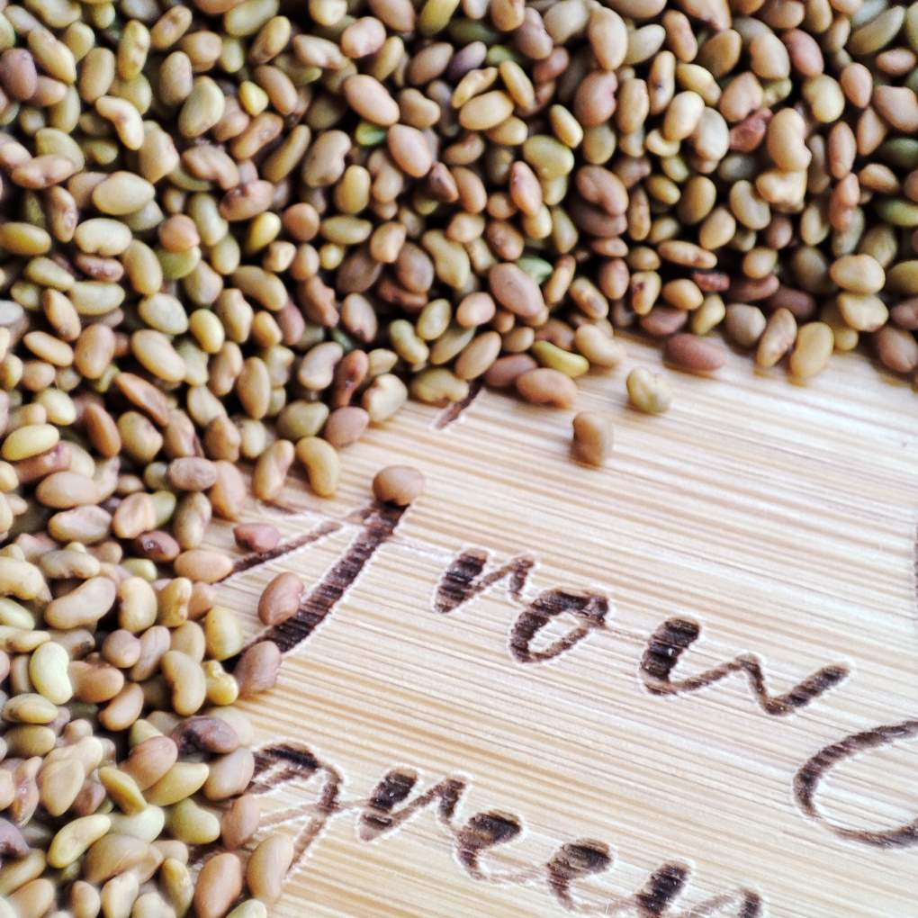 organic alfalfa microgreen seeds on a bamboo background with company logo