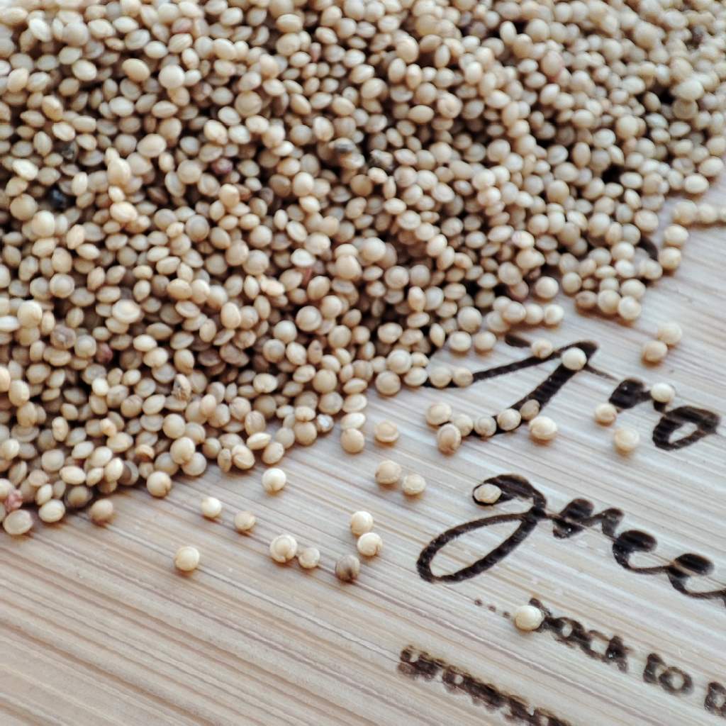 Red Amaranth Micro herb Seeds
