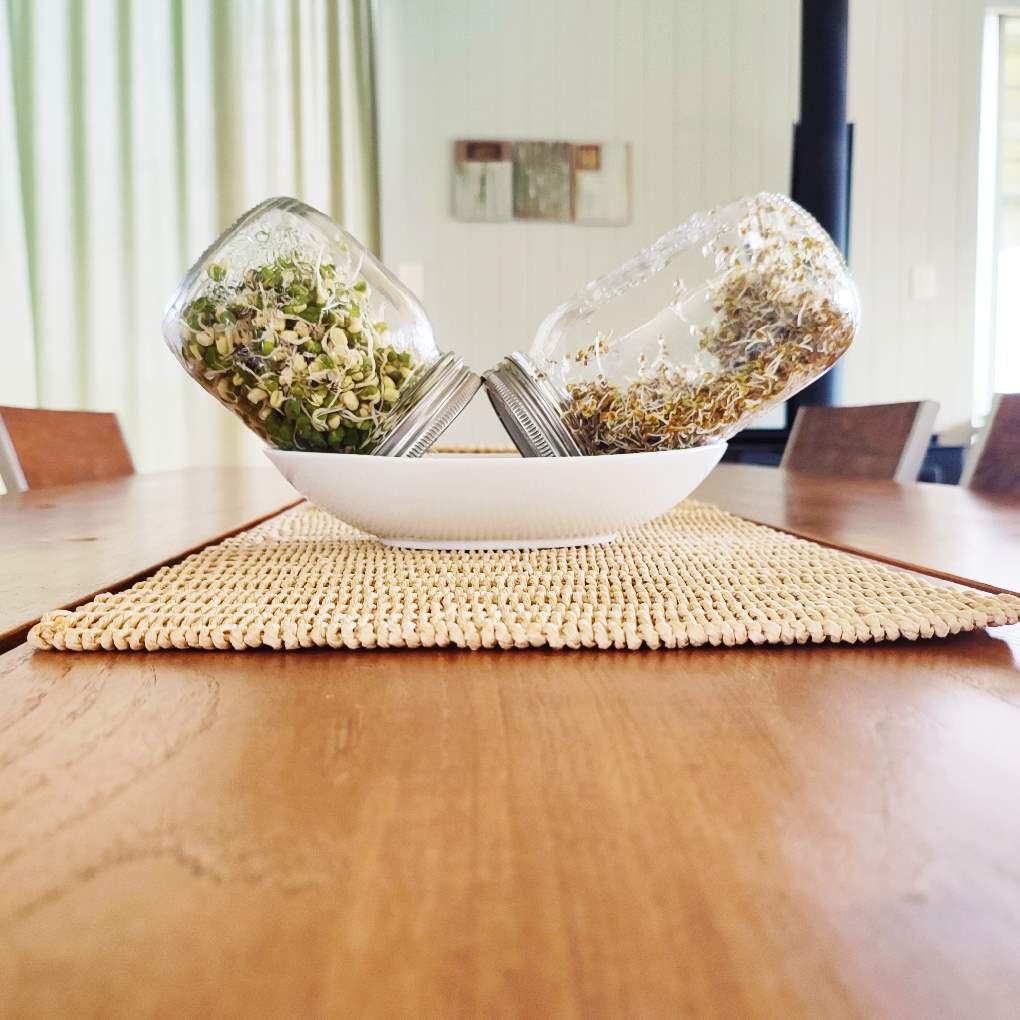 Sprouting Jar Lids | Large Mesh Stainless Steel