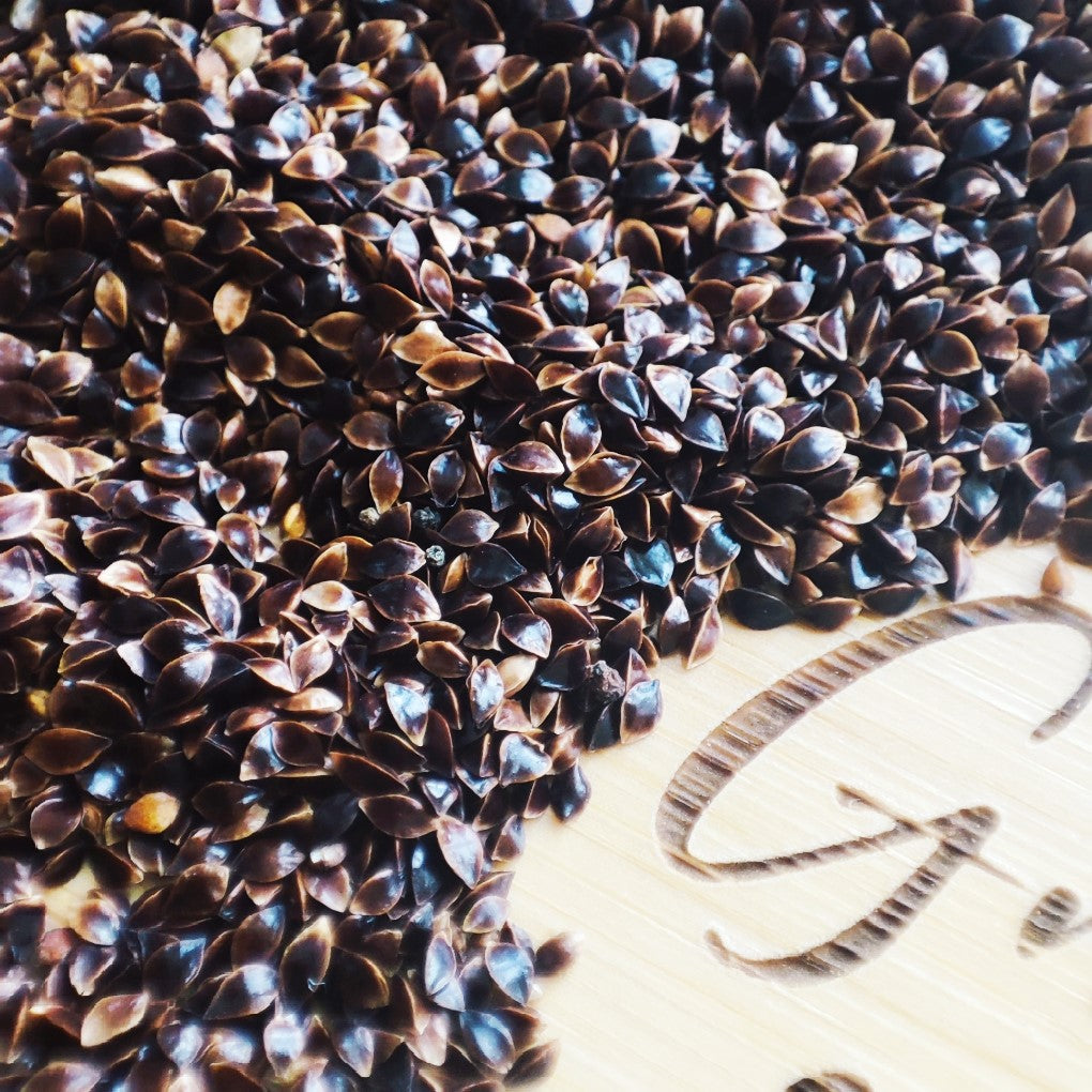 Green Sorrel | De Belleville | Micro herb Seeds