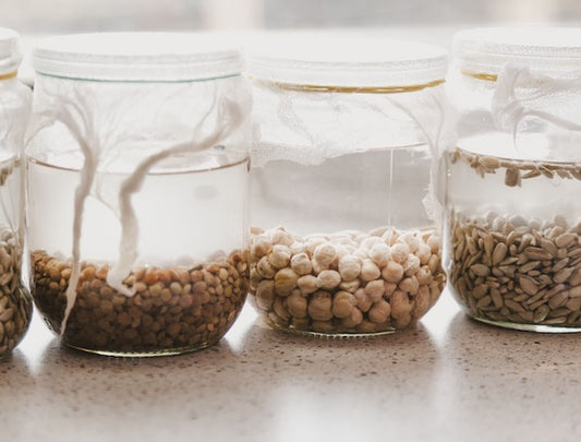 pre-soaking microgreen and sprouting seeds