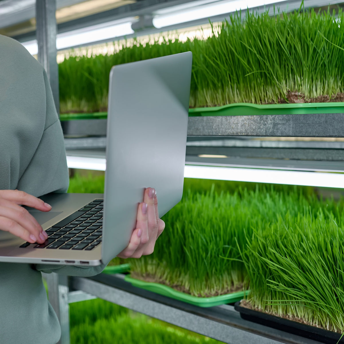 Grow Sow Greener - Suppliers of High-Quality Seeds & Growing Equipment