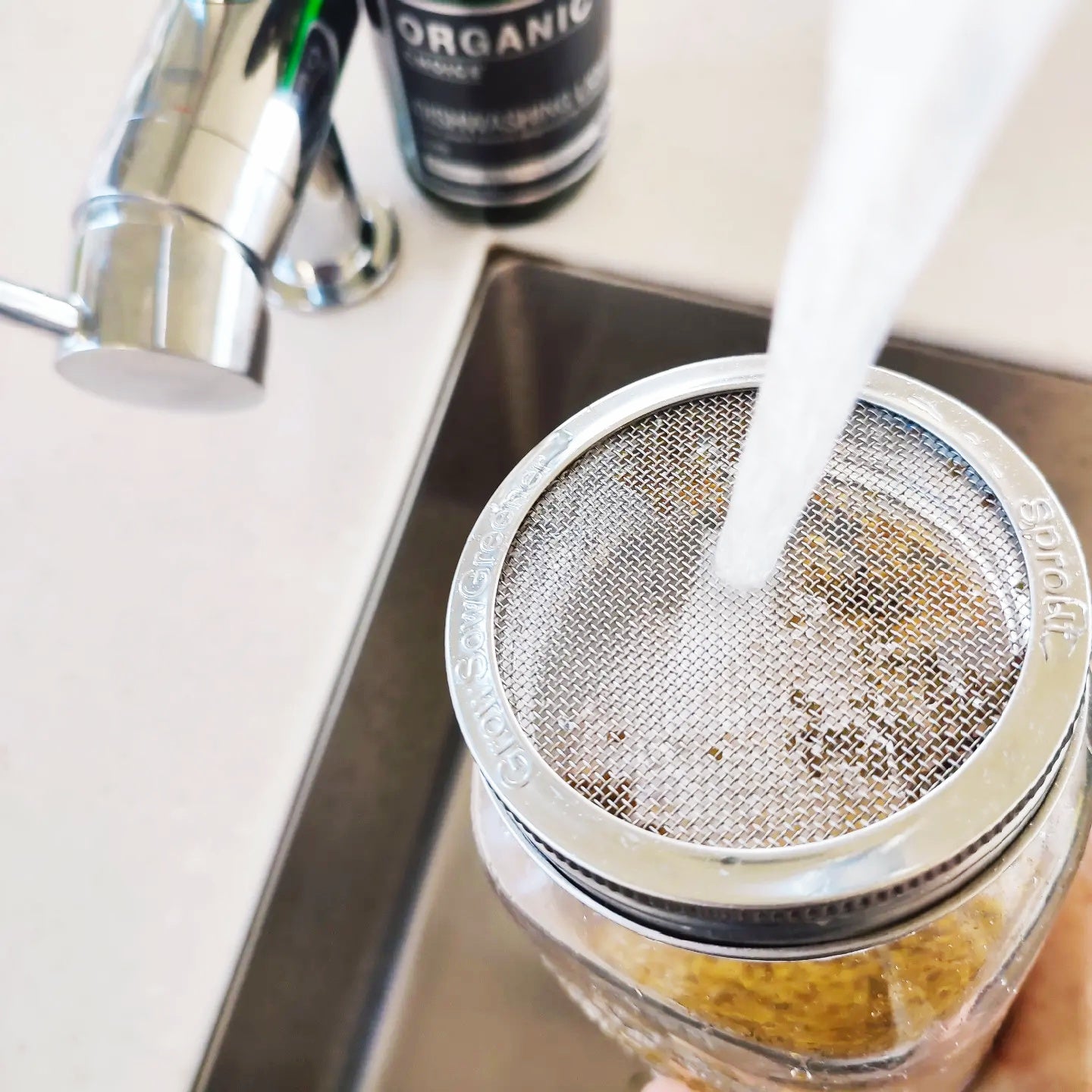 using a stainless steel seed sprouting lid for wide mouth mason jars