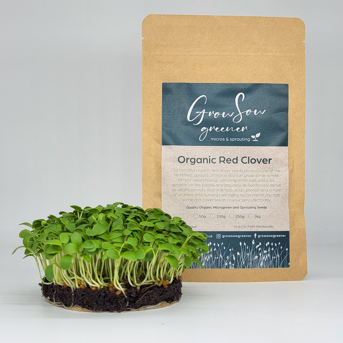 Organic Red Clover Microgreen & Sprouting Seeds