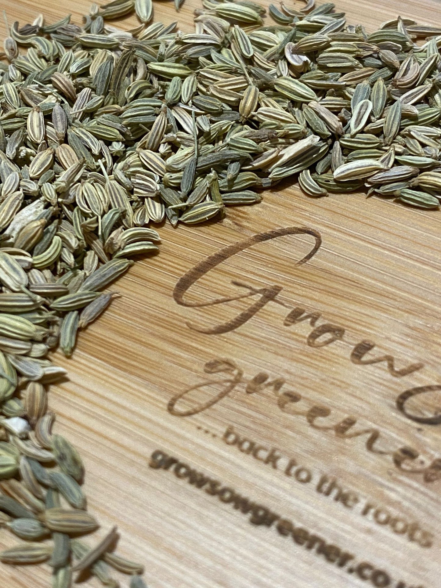 Fennel | Green | Micro herb Seeds