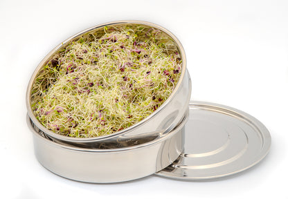 Stainless Steel Sprouting Tray (20cm Three piece)