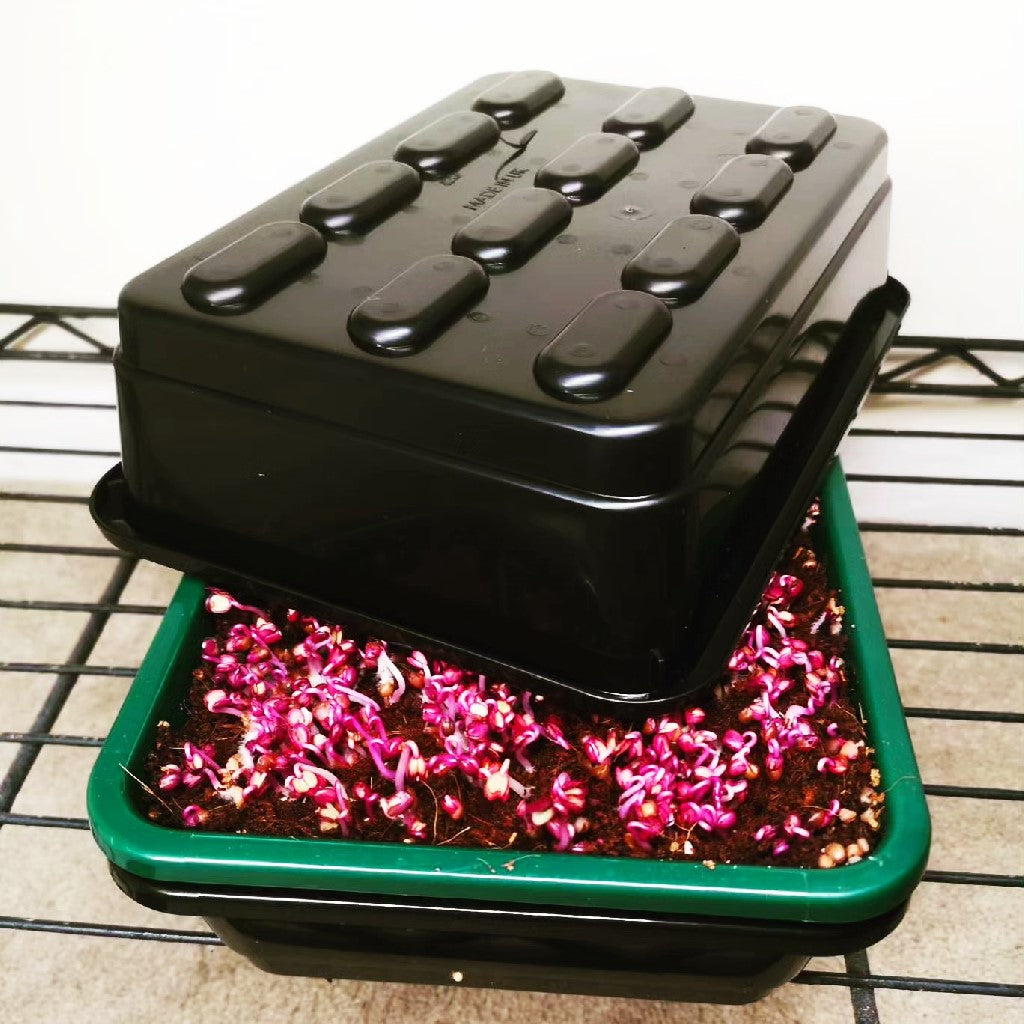 Home Professional Microgreens Reservoir Tray - No holes