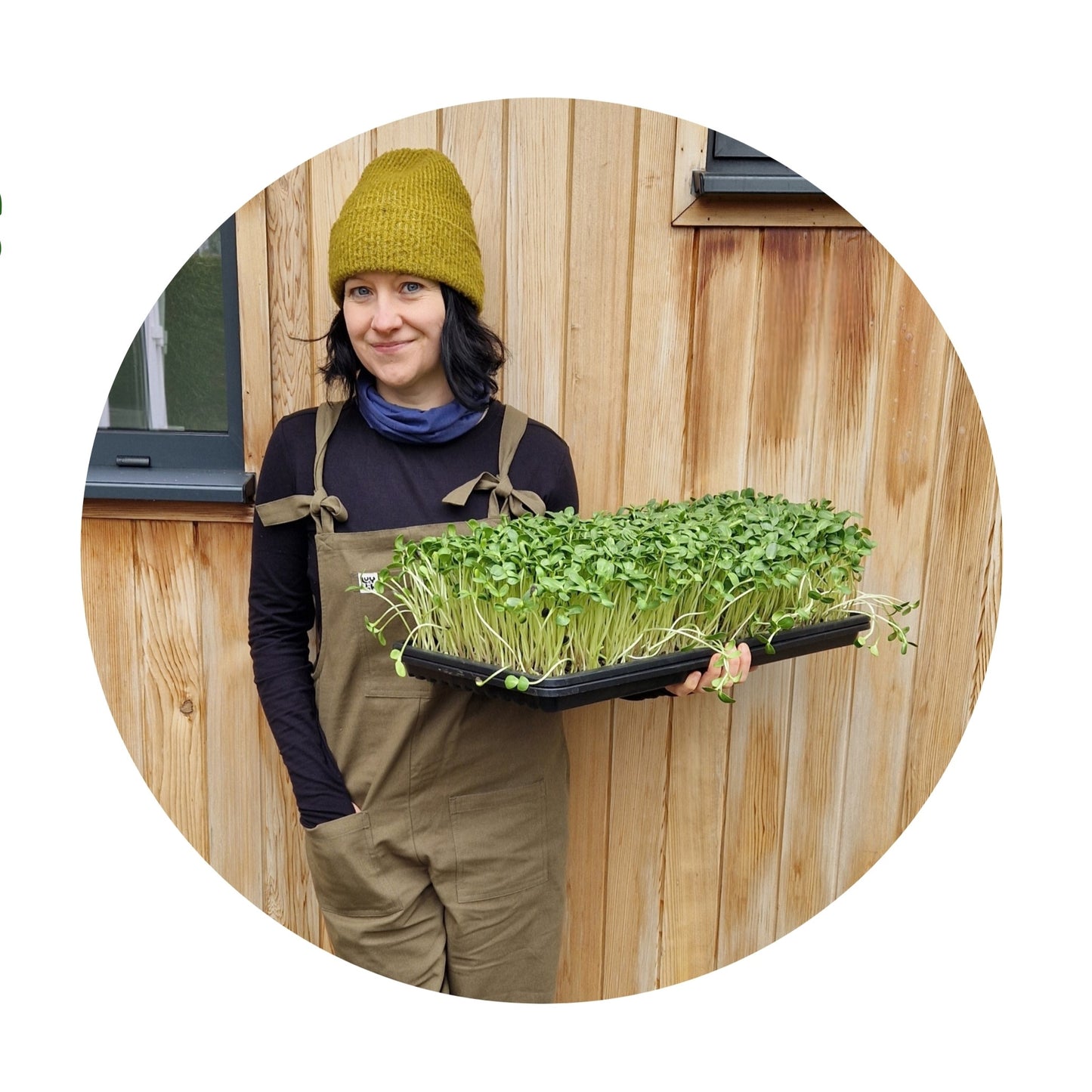 Farm Microgreens - Commercial Course for Business