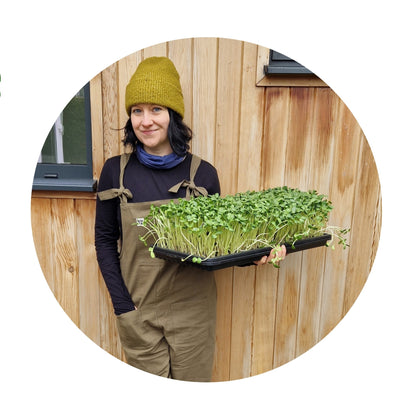 Farm Microgreens - Commercial Course for Business
