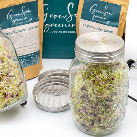 Freshly sprouted seeds on a dish beside a Grow Sow Greener pack