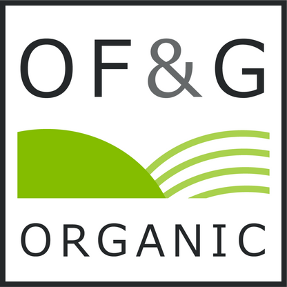 Organic Red Cabbage Microgreen Seeds