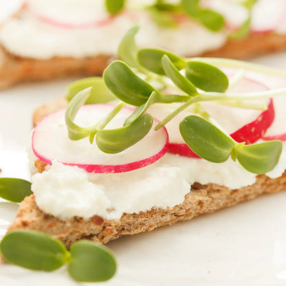 Organic Sunflower Microgreen & Sprouting Seeds - Tiny Seeded