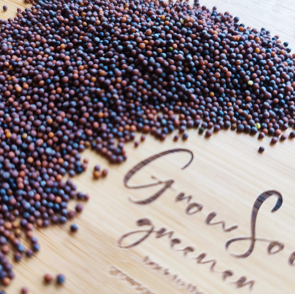 Mustard - Red Mustard Microgreen Seeds