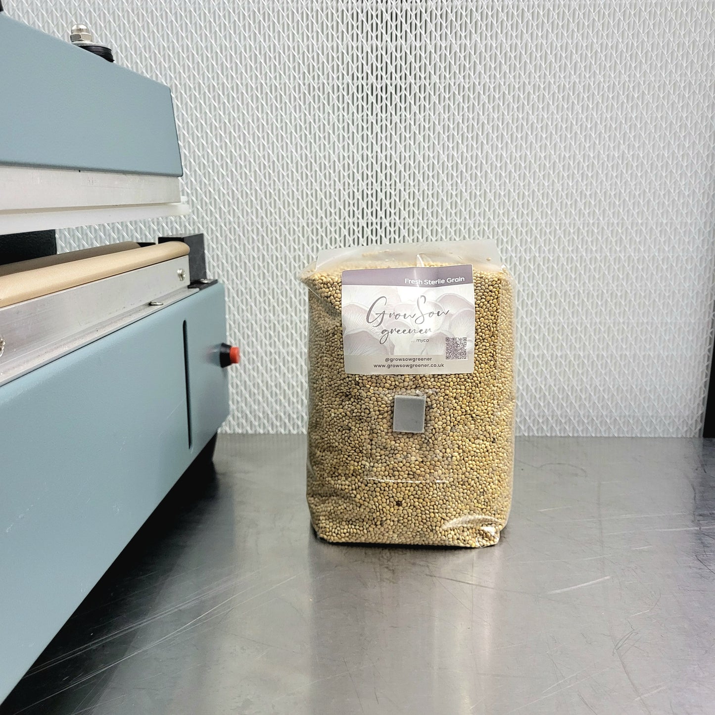 Sterilized Millet grain for mushroom spawn production