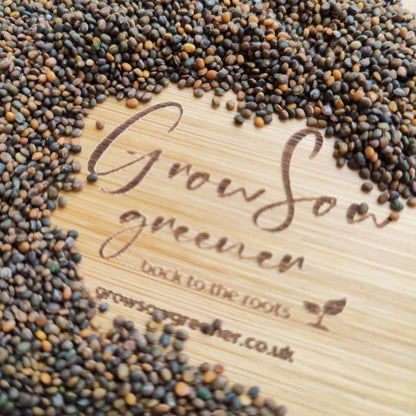 Rocket Microgreen Seeds