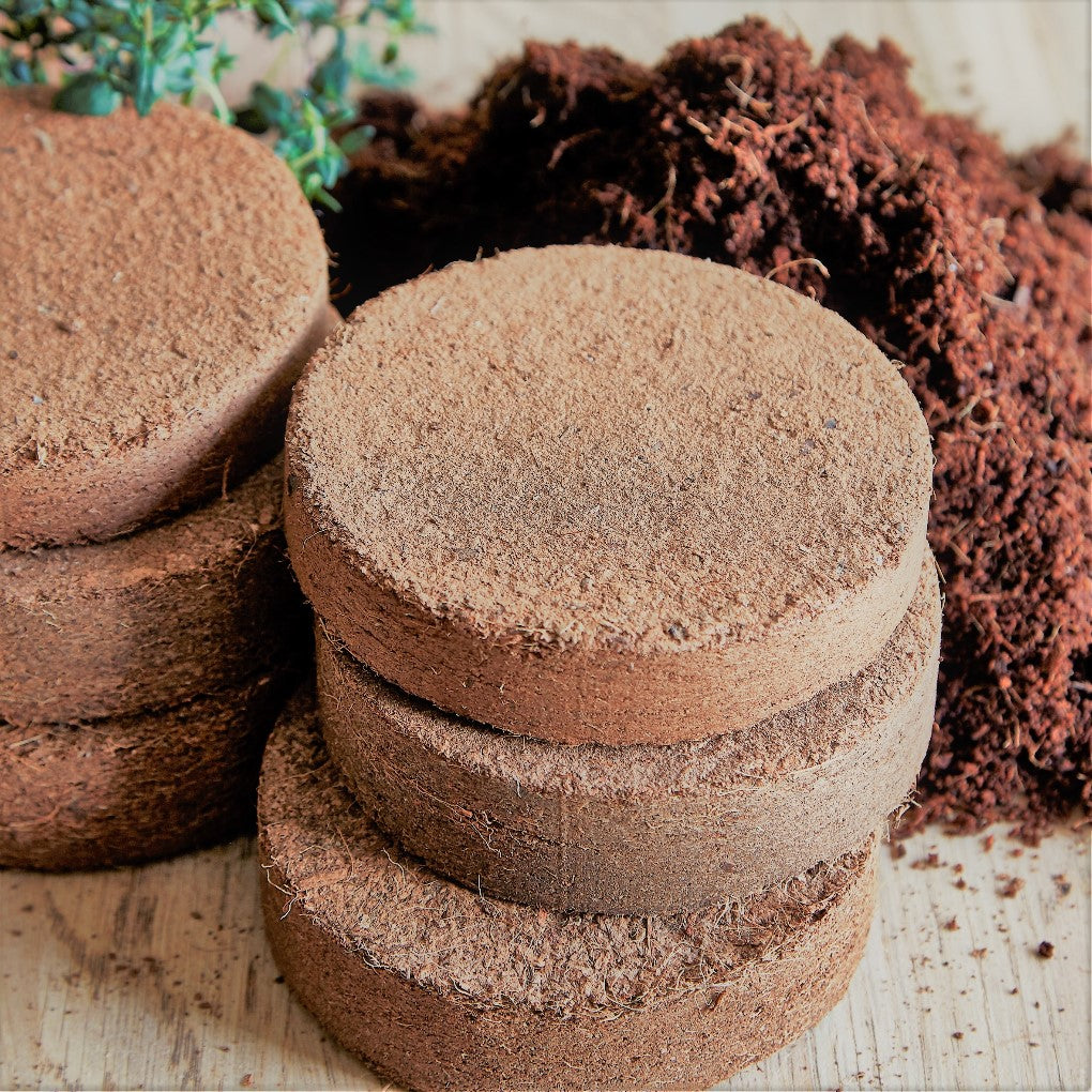 100mm Coco Coir Discs – Triple-Washed, Fine Tilth, Low EC | Peat-Free & Biodegradable