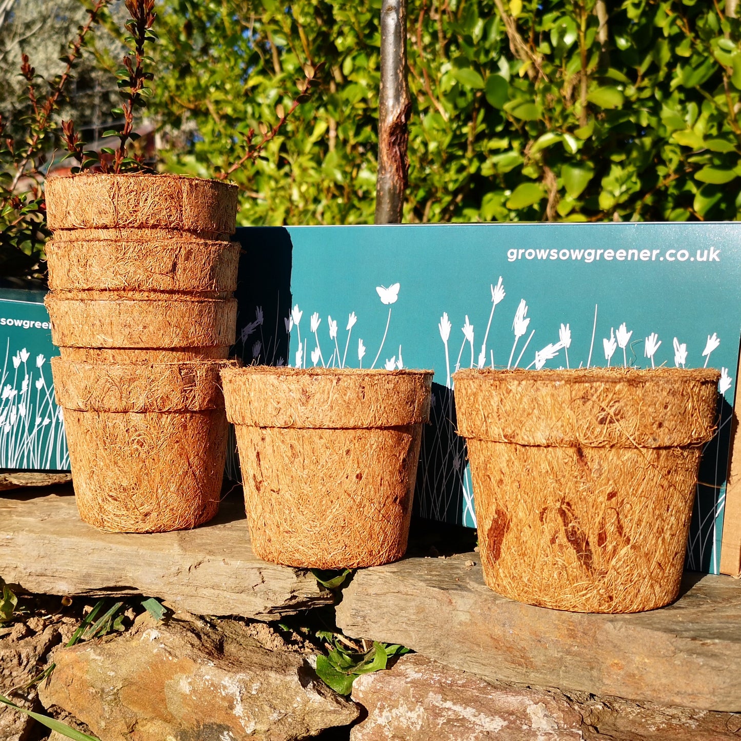 brown biodegradable coco coir pots on a rock wall with packaging box behind them