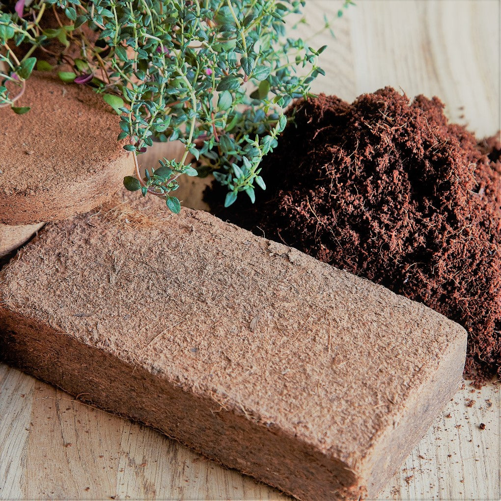 650g Coco Coir Brick – Triple-Washed, Fine Tilth, Low EC | Peat-Free