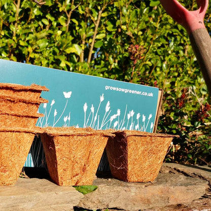 square ornamental coir pots on a rock ledge 