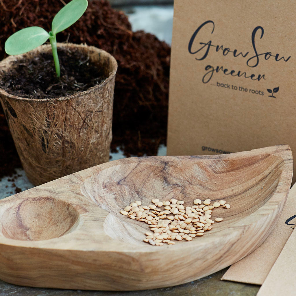 aubergine seeds in a wooden bowl uk
