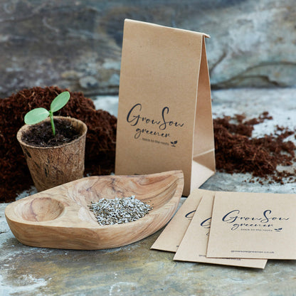 packets of carrot seeds in the uk with a bowl of carrot seed and a seedling growing in the back ground