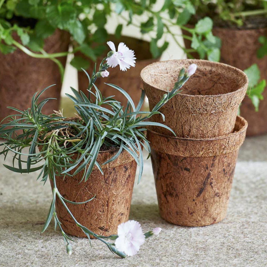 Organic Coco Coir Pot - 8.5cm Thin wall