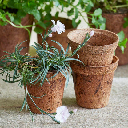 Organic Coco Coir Pot - 8.5cm Thin wall