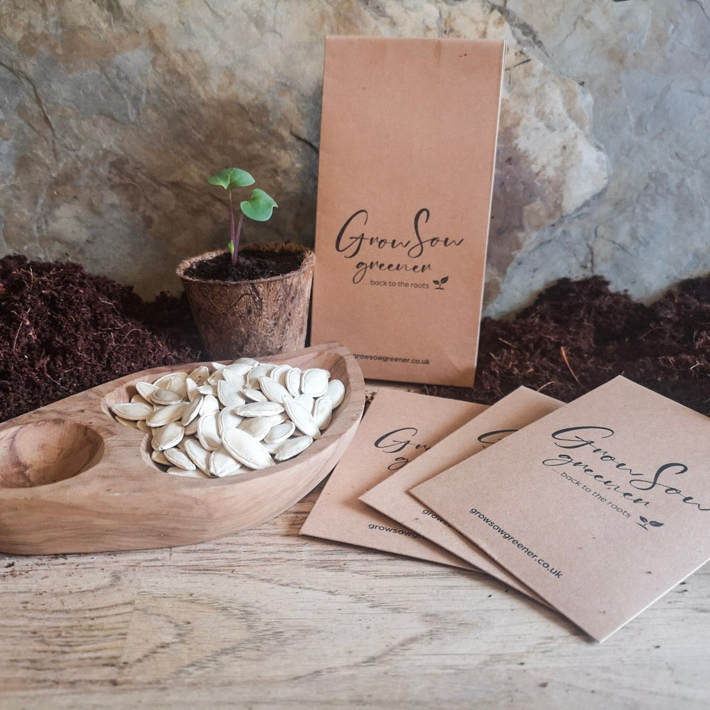 courgett seeds with compost and eco seed packets