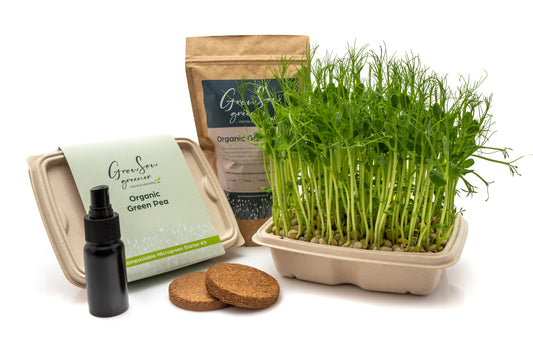 Organic Green pea Microgreens growing kit
