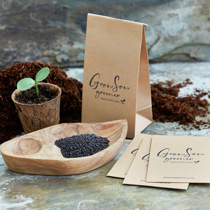 kale seeds in a wooden bowl nex to seed packets and a seedling