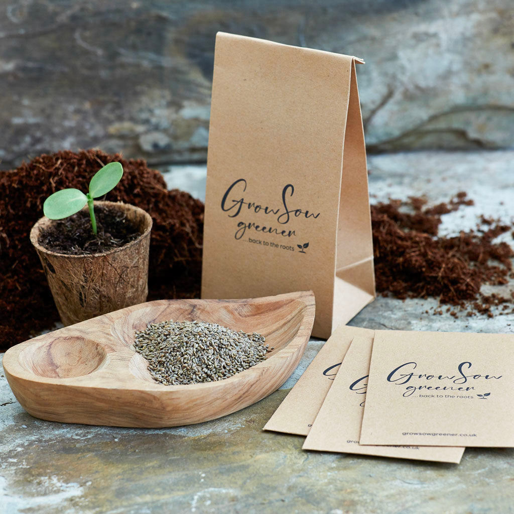 lettuce seeds sit in a wooden bowl with seed packets, a coco pot and compost