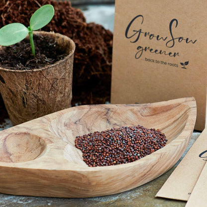 a pile of green mizuna seeds in a wooden plate with a seedling behind