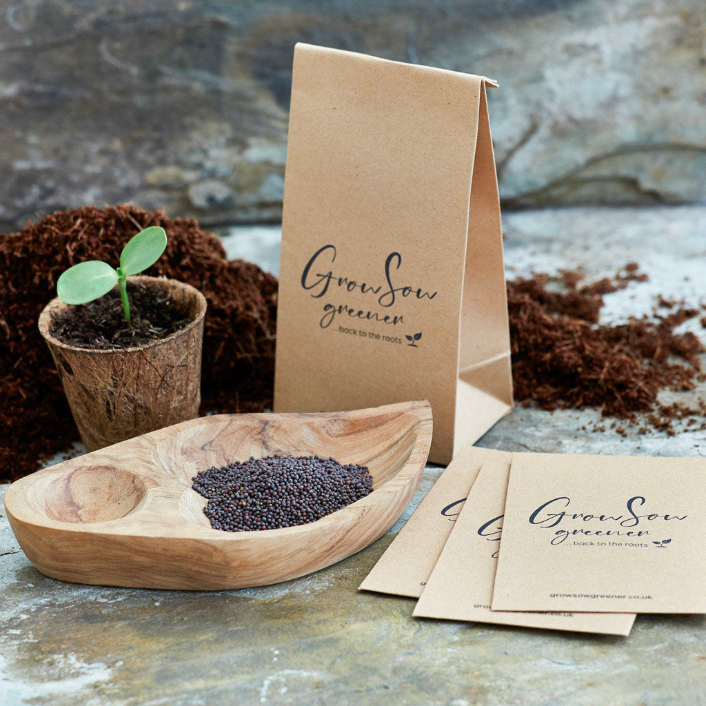 dark coloured mustard seeds in a wooden bowl with a seed packet and a seedling in a biodegradable coir pot