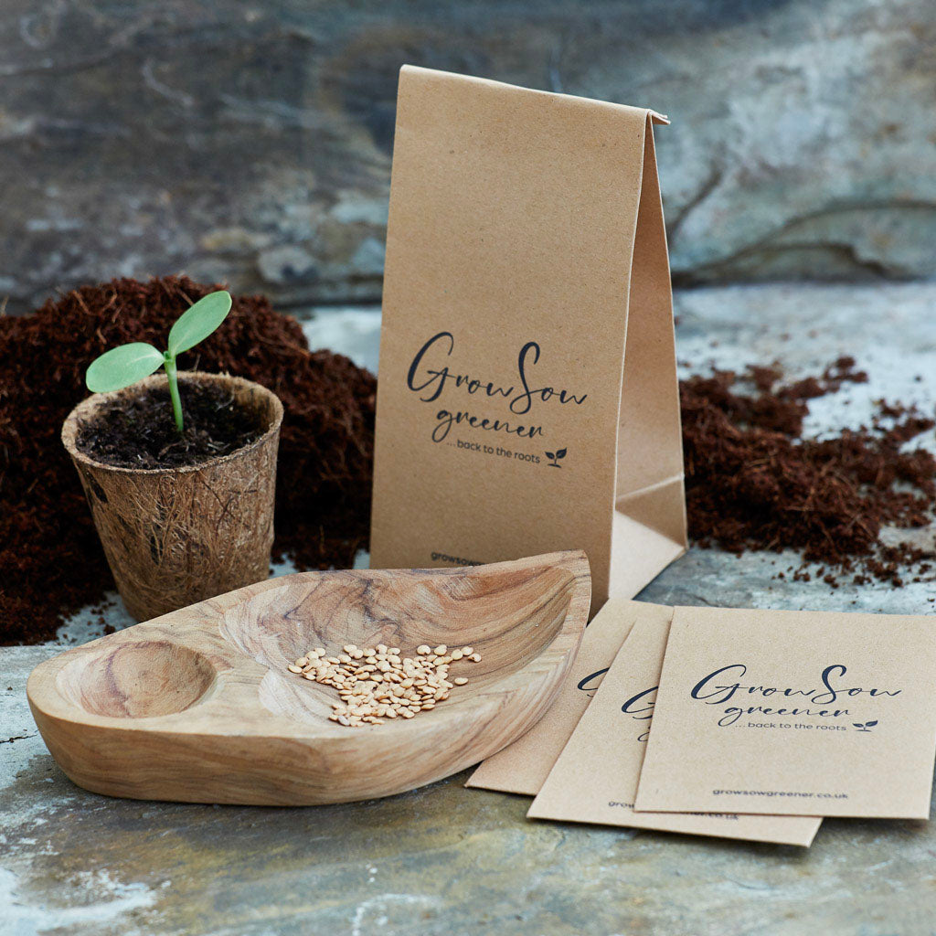 aubergine seeds, coco coir pot and seed packets