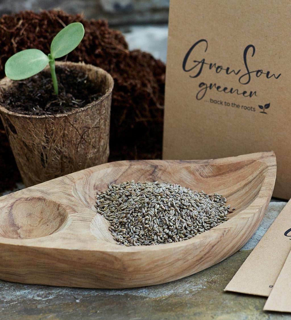 curly parsley seeds, coir pot and eco seed packet