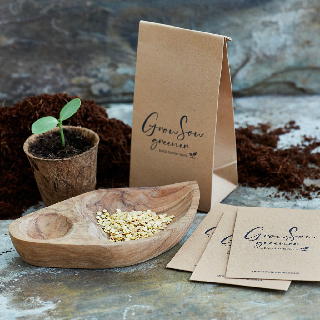 pepper seeds uk