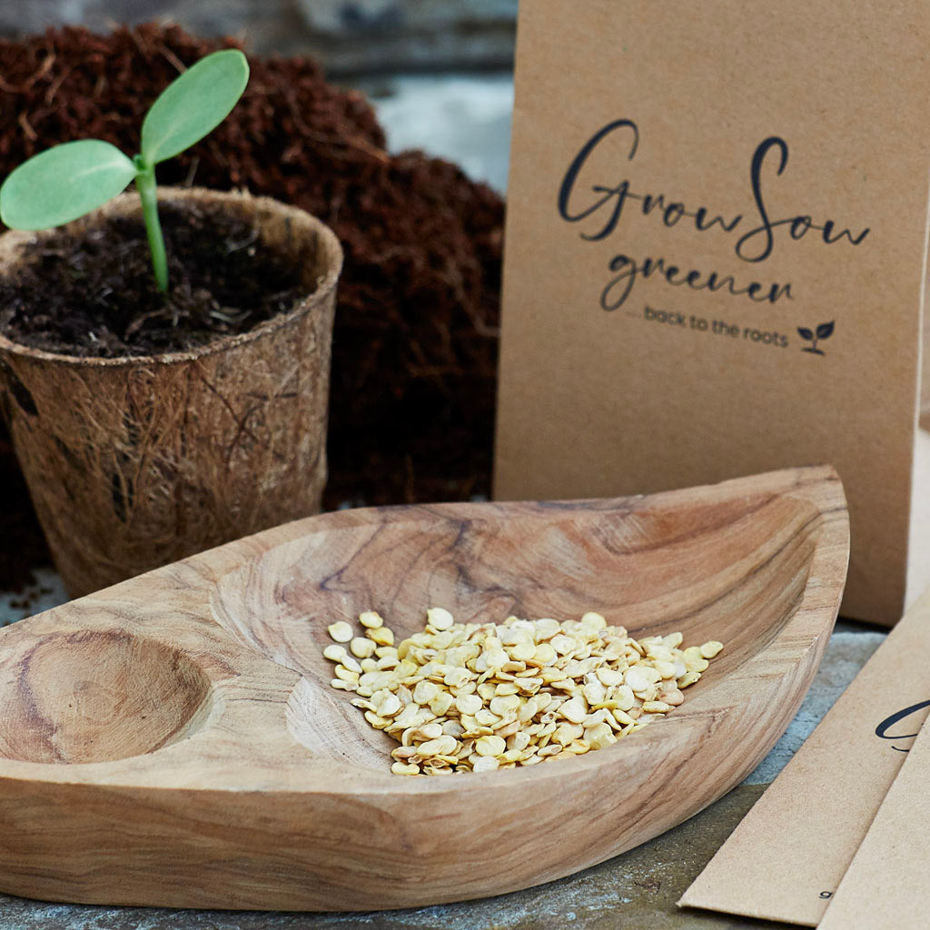 sweet pepper seeds