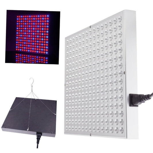 30W Red Blue Square LED Light Panel - 31cm x 31cm