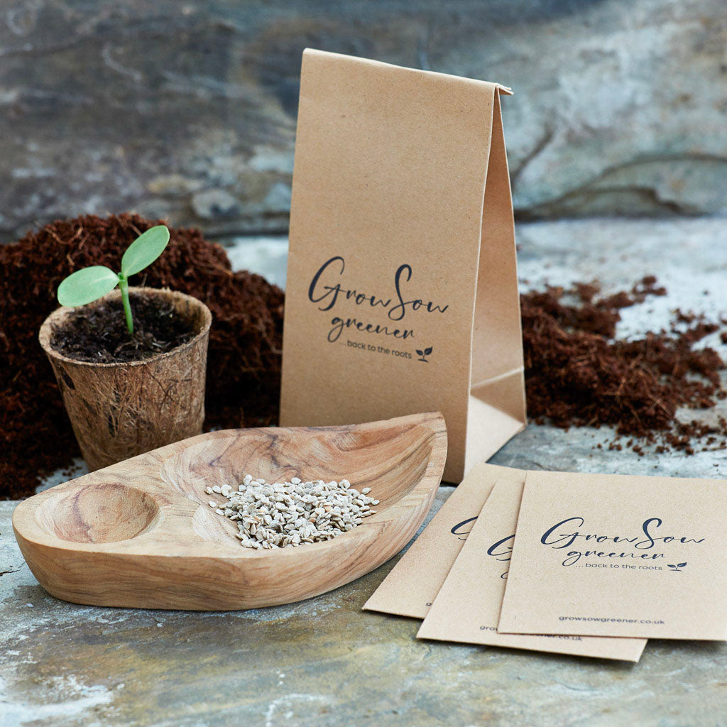 cherry tomato seeds, bio pot with seedling and eco seed packaging