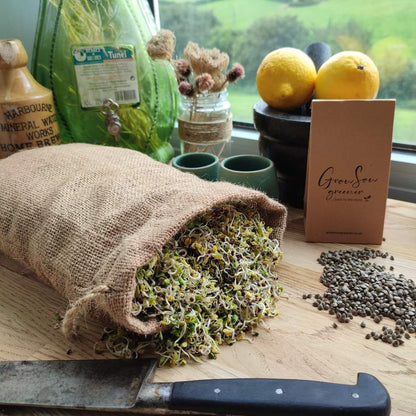 brown hemp sprouting bag with seeds on a kitchen worktop
